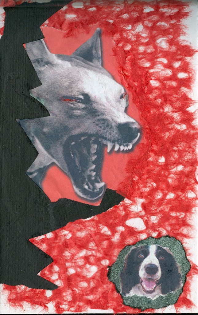 Nancy Weiss: "Angry Dog" SoulCollage® Cards